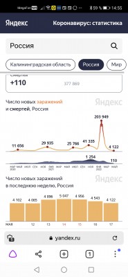 Screenshot_20220517_145547_com.yandex.browser.jpg