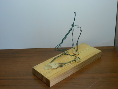 DSCN0253.JPG