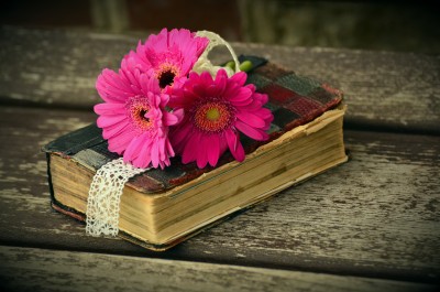 blossom-book-read-plant-wood-photography-flower-petal-bloom-red-relax-color-romantic-yellow-pink-bible-close-up-bank-gerbera-floristry-macro-photography-flowering-plant-flower-bouquet-still-life-photography-816105.jpg