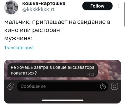 8159198.jpeg