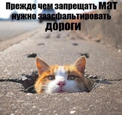 IMG_0633.jpeg