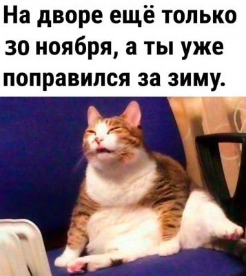 котэ-Белые-буквы-на-черном-фоне-8219322.jpeg