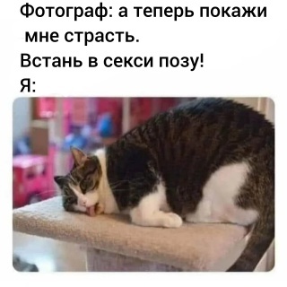 смешные-картинки-котенька-ahegao-8296173.jpeg