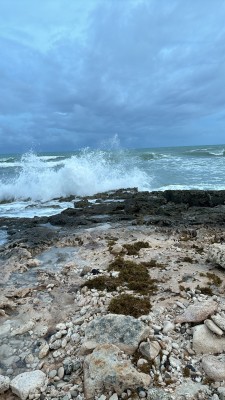 IMG_5676.jpeg