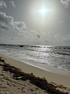 IMG_5714.jpeg