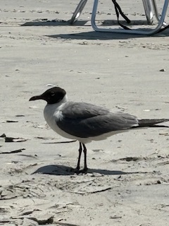 IMG_5856.jpeg
