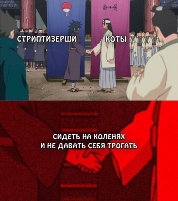8549461.jpeg