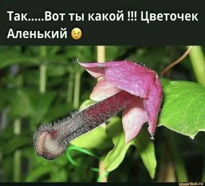5640b31da4391d61a1aa5ee42ff95a56.jpg