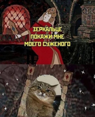 котэ-хз-какие-теги-степан-loveyouStepan-8591194.png
