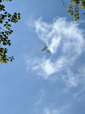 IMG_6378.jpeg