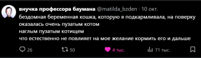 twitter-интернет-котэ-8630145.png