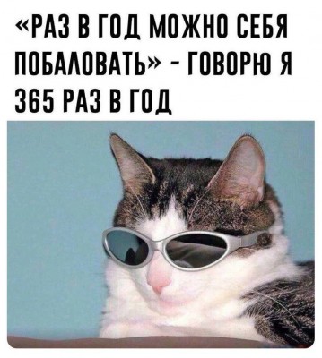 котэ-Баловство-8665630.jpeg