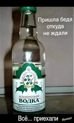 IMG_3780.jpeg