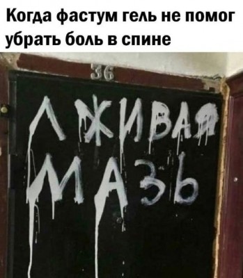 8668934.jpeg