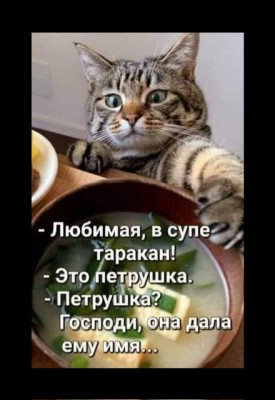 IMG_6975.jpeg