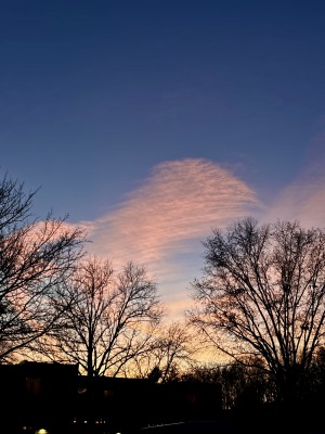 IMG_7198.jpeg