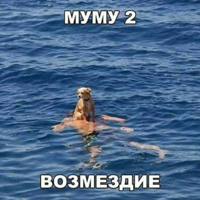 1a4e71f309cb6fd2f5377b6ad2dbf52c.jpg