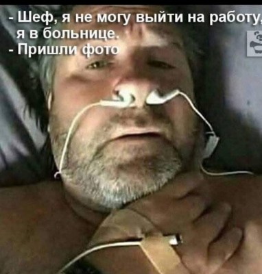 IMG_7382.jpeg