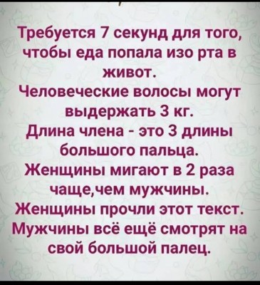 IMG_7408.jpeg