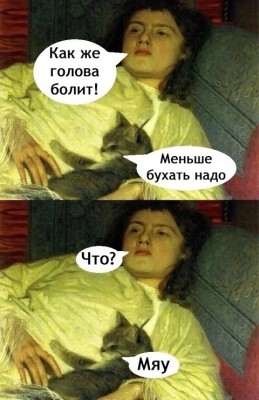 котэ-песочница-8718968.jpeg
