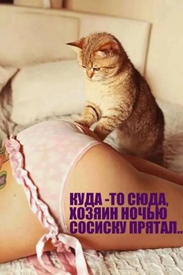 1c61a927a5807411c02ac611ec23c823.jpg
