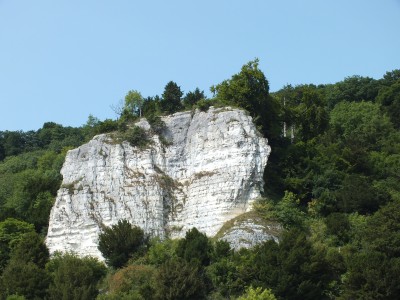 DSCF0353.jpg
