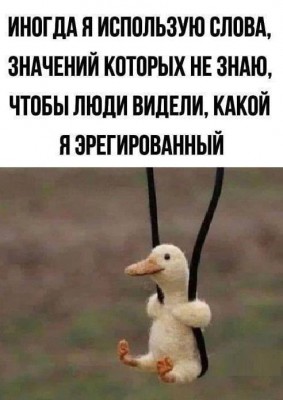 8844092.jpeg