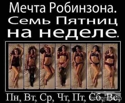 3019035650.jpg
