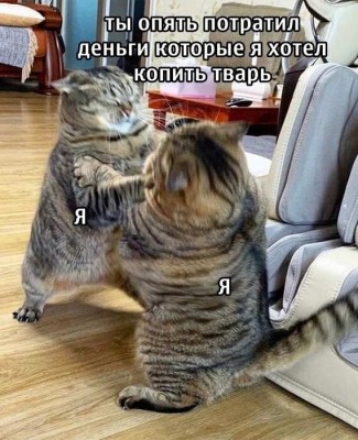 tPmW2yp-6nCV5G8s7djXgcf70kXBslMQn-YTNkMwfMimlfxpsIfbc8VwFWXhpQZwC69jpJBV2opmRC2vnDkFj5VS.jpg