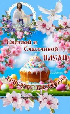 IMG_4366.jpeg