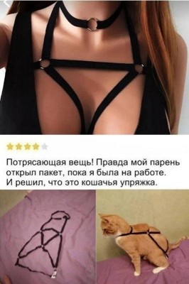 anon-8880252.jpeg