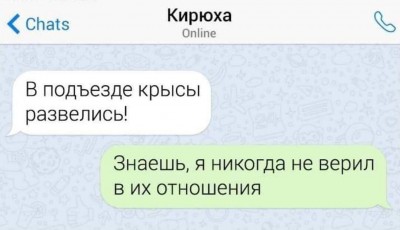 8890693.jpeg