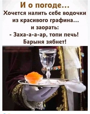IMG_8547.jpeg