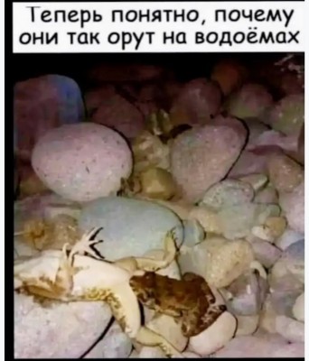 IMG_8619.jpeg