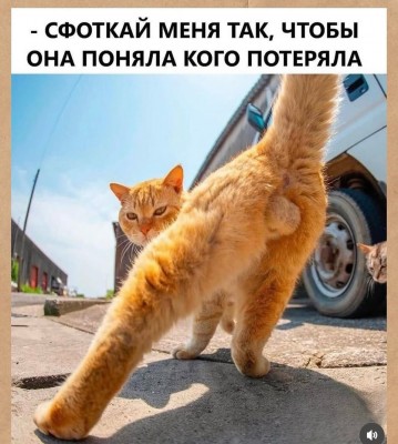 IMG_9055.jpeg