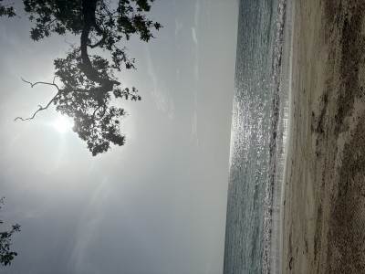 IMG_9075.jpeg
