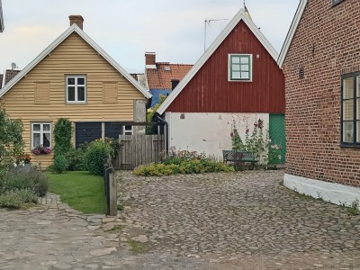 IMG_20250715_184519.jpg