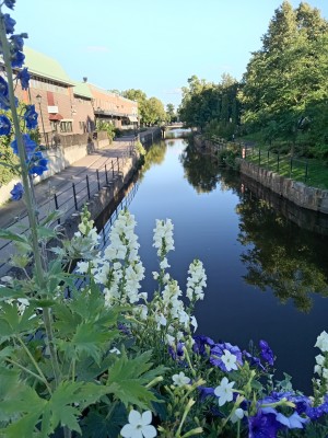 IMG_20250812_183800.jpg