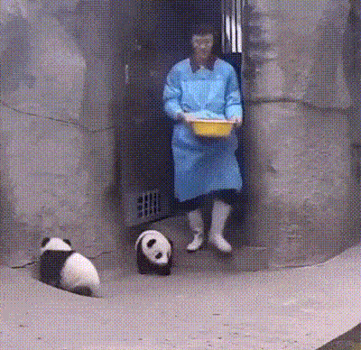 dzen.gif