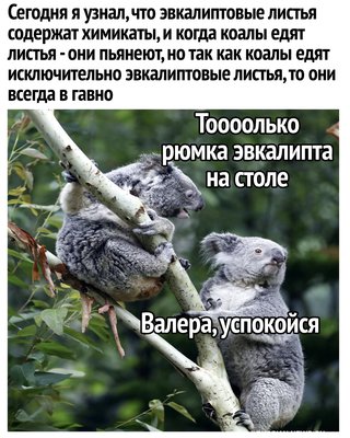 TYQY6Ec8H7U.jpg
