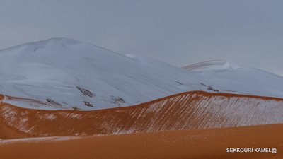 8FA44778-5A83-46E4-89FB-E13DA3B3AECC.jpeg