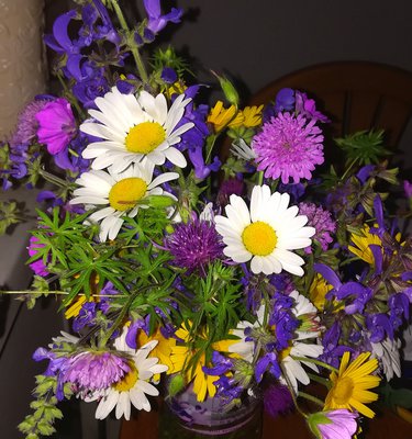 IMG_20180912_100754.jpg