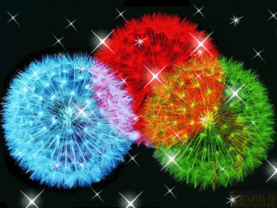 80d0a33075c717571eeab1a6c598cd27_i-179.gif