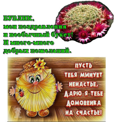 бублику.jpg