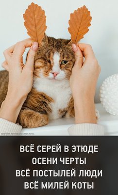 C__Data_Users_DefApps_AppData_INTERNETEXPLORER_Temp_Saved Images_WwdaZMocABs.jpg