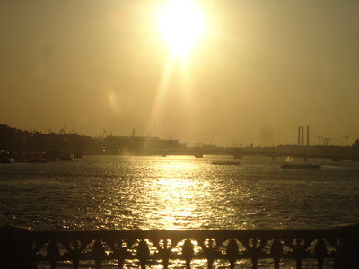 DSC06169.JPG