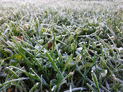 IMG_20181028_114303.jpg