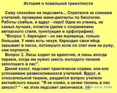 12309193.jpg
