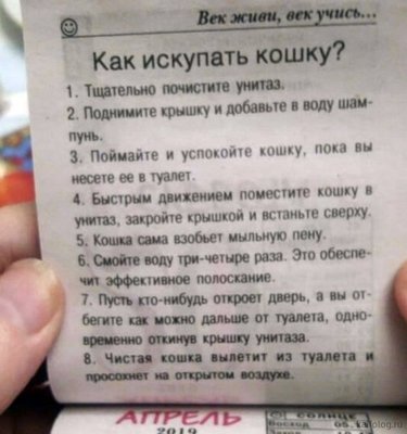 1542617752_012.jpg