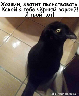 хах.jpg
